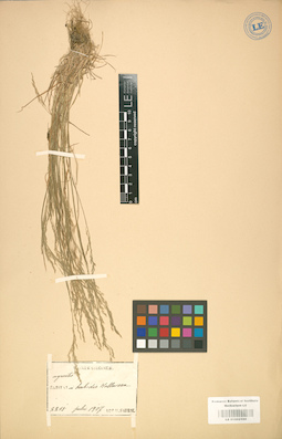 LE 01002109