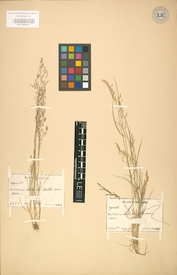 LE 01002111