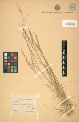 LE 01002114