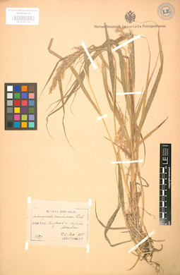 LE 01002120