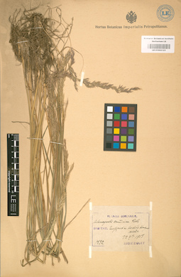 LE 01002123