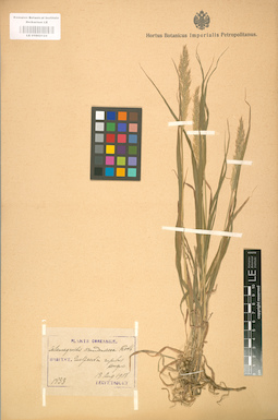 LE 01002124