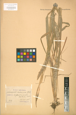 LE 01002125