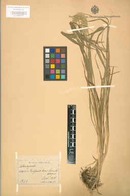 LE 01002127