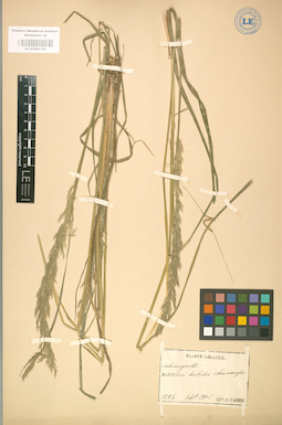 LE 01002129