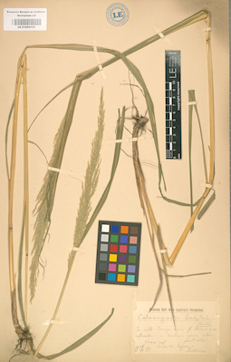 LE 01002131