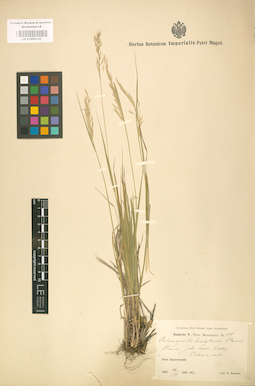 LE 01002132