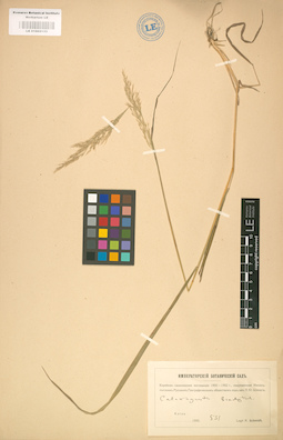 LE 01002133