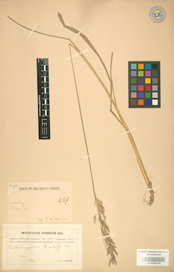 LE 01002134
