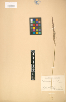 LE 01002135