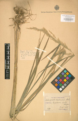 LE 01002136