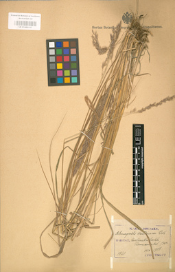 LE 01002137