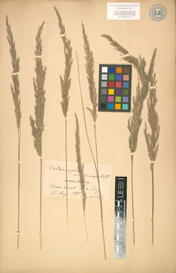 LE 01002138