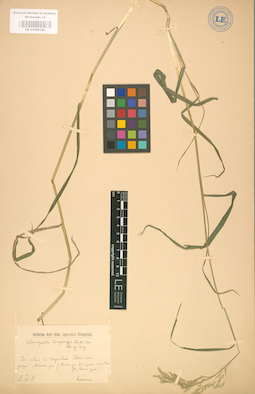 LE 01002149