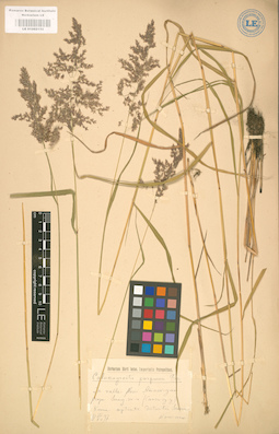 LE 01002152