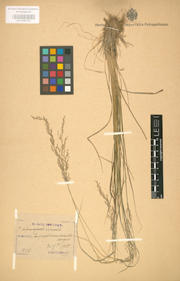 LE 01002153