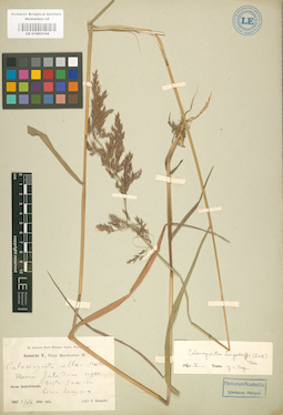 LE 01002154
