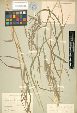LE 01002155