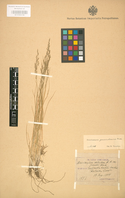 LE 01002156