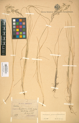 LE 01002157