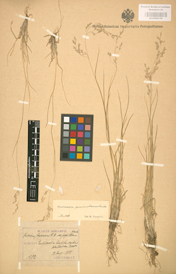 LE 01002158