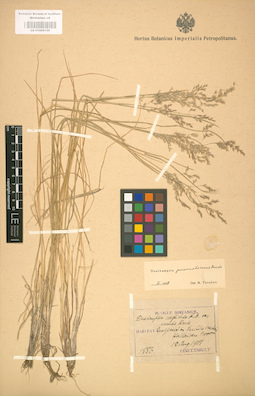 LE 01002159