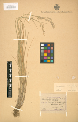 LE 01002160