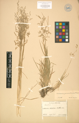 LE 01002161
