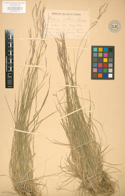LE 01002172
