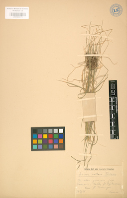 LE 01002173