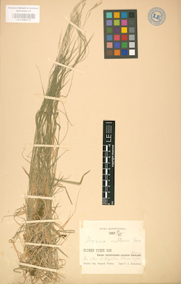 LE 01002174