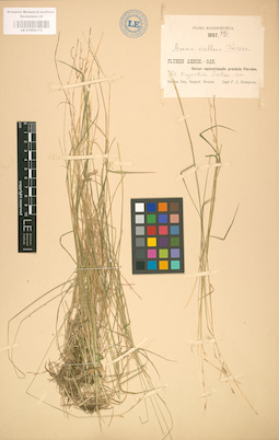 LE 01002175