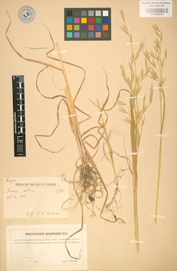 LE 01002181