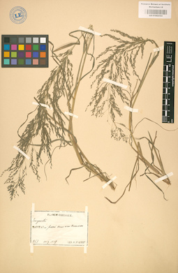 LE 01002182
