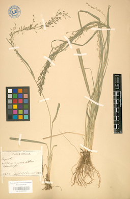 LE 01002183