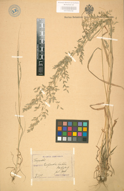 LE 01002186