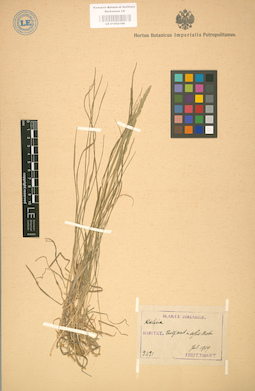 LE 01002188