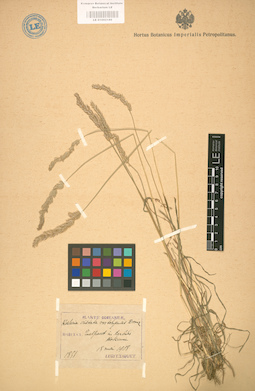 LE 01002189
