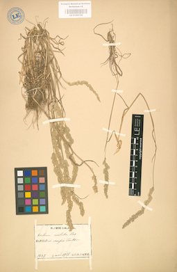 LE 01002190