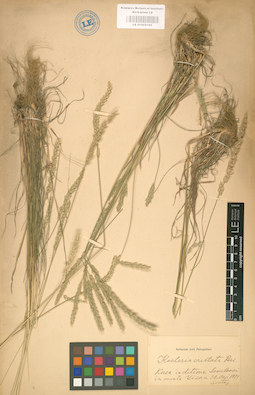 LE 01002192