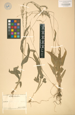 LE 01002203
