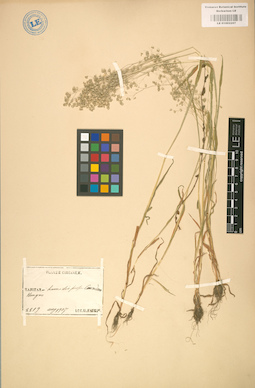 LE 01002207