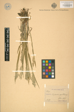 LE 01002208