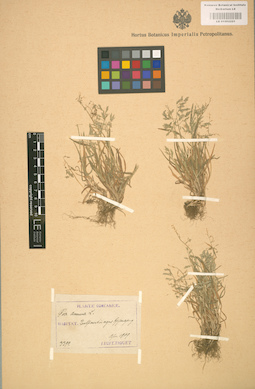 LE 01002221