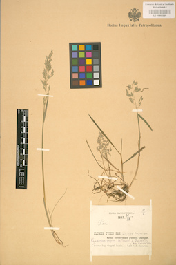 LE 01002226
