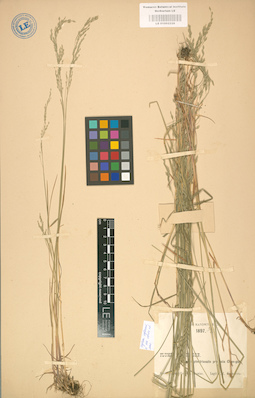 LE 01002228
