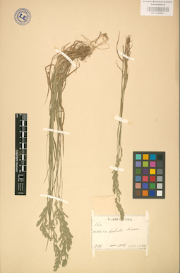 LE 01002230