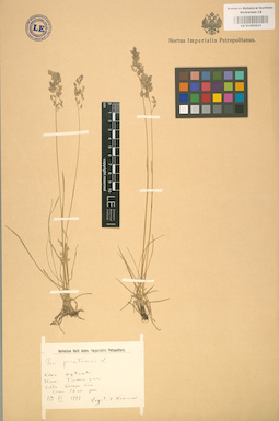 LE 01002231