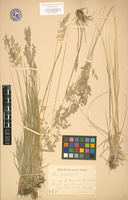 LE 01002232