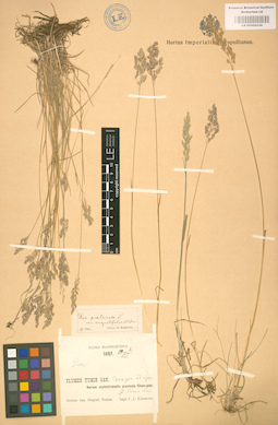 LE 01002236